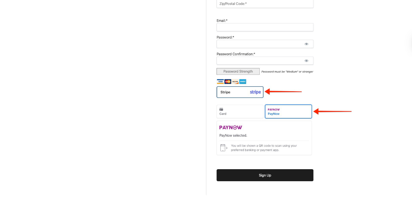 Paynow payment option on checkout page